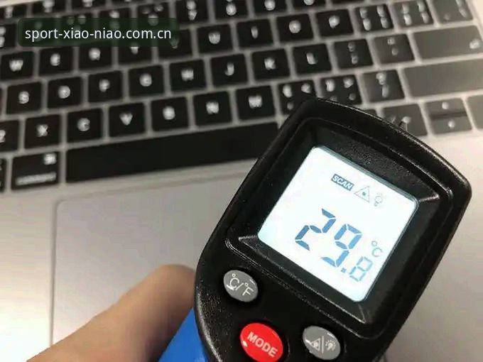 小鸟体育苹果版使用体验深度评测：从下载到社区互动的完整指南